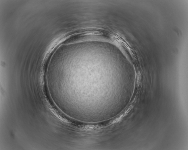 X0000090920101200708061551