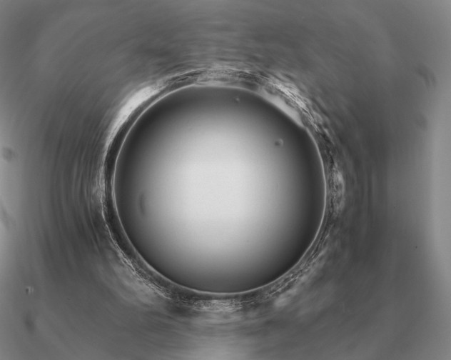 X0000090920102200708061551