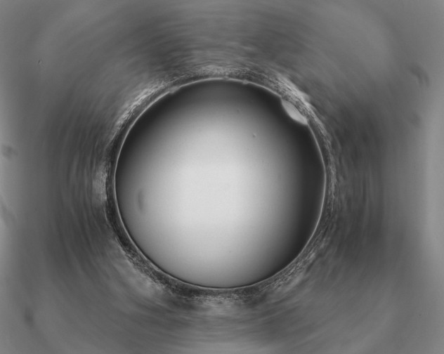 X0000090920106200708061551