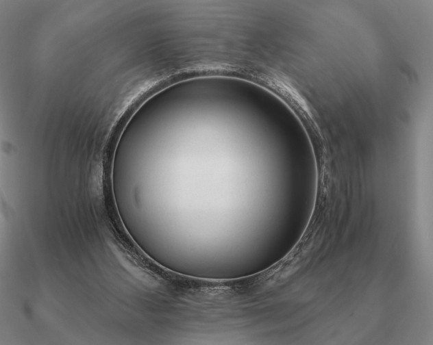 X0000090920108200708061551