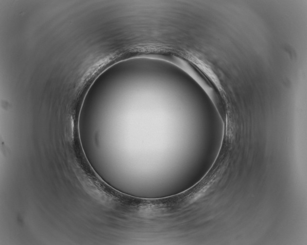 X0000090920109200708061551