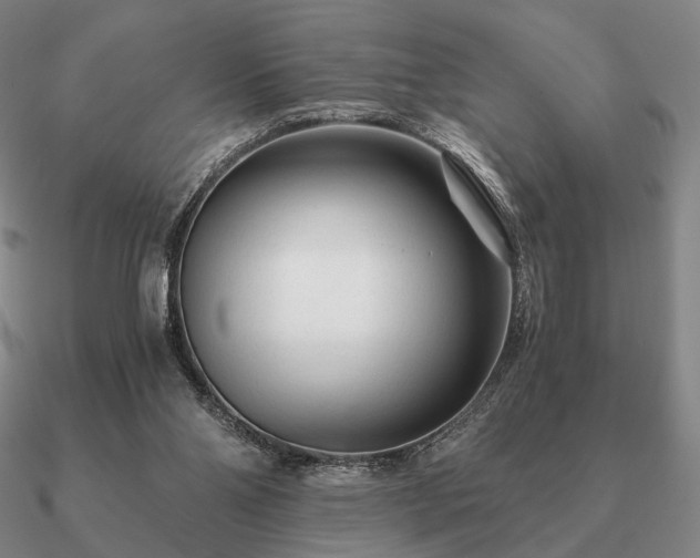 X0000090920110200708061551