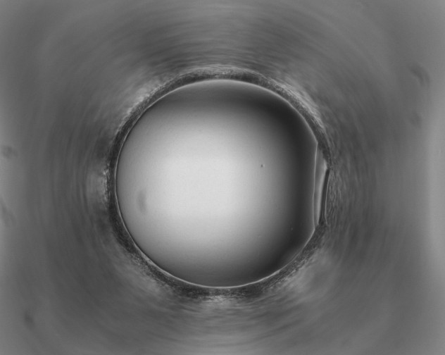 X0000090920111200708061551