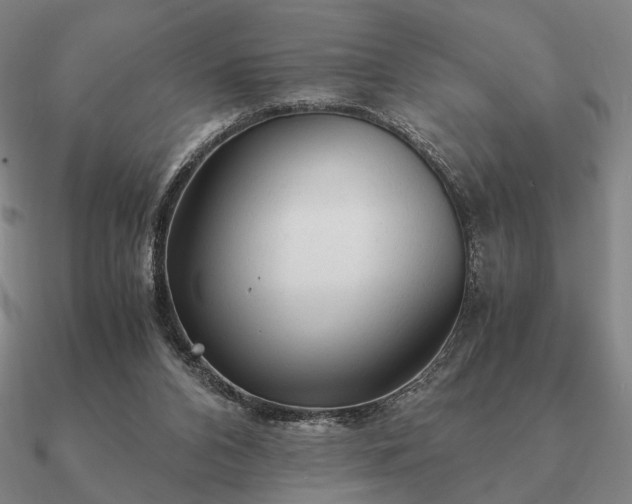 X0000090920112200708061551