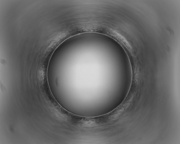 X0000090920113200708061551