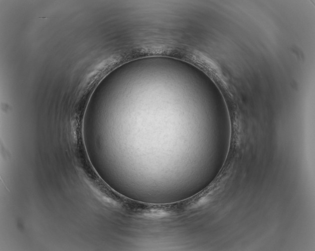 X0000090920114200708061551