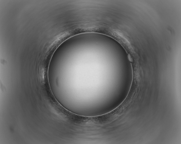 X0000090920115200708061551