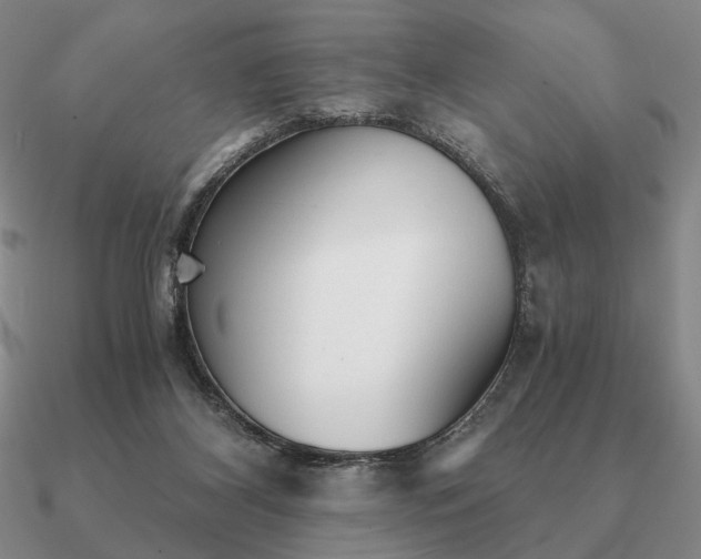 X0000090920116200708061551