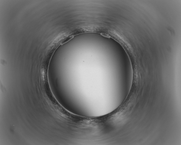 X0000090920117200708061551