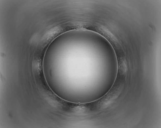 X0000090920119200708061551