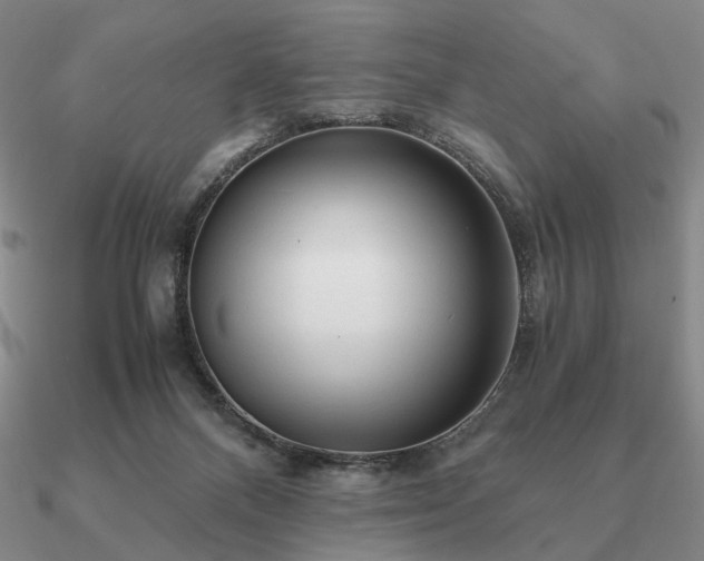 X0000090920120200708061551