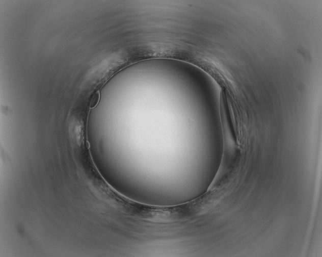 X0000090920123200708061551