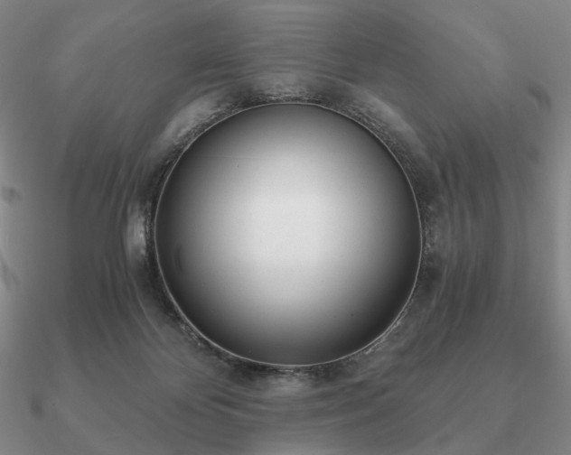 X0000090920124200708061551