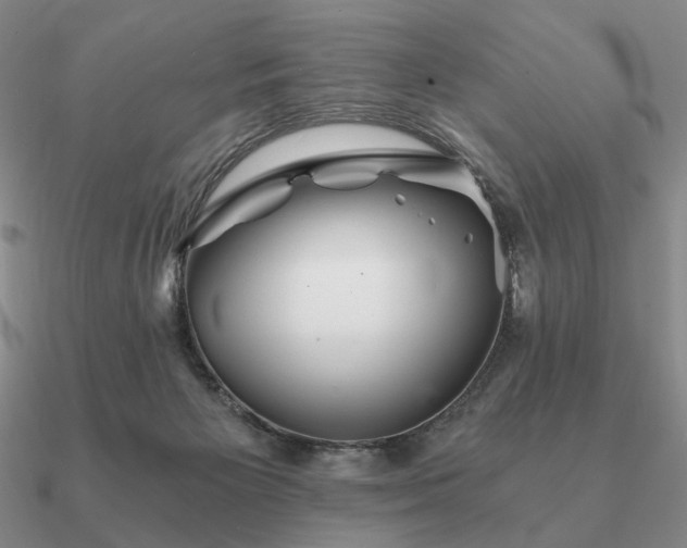 X0000090920125200708061551