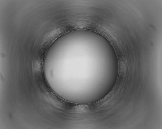 X0000090920126200708061551