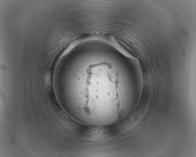 X0000090920127200708061551