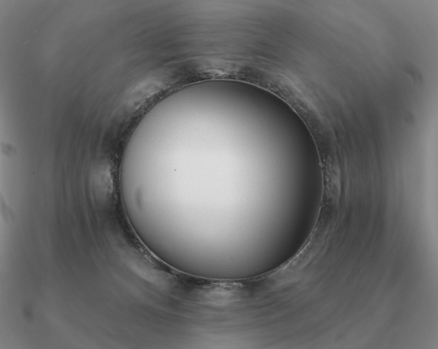 X0000090920128200708061551