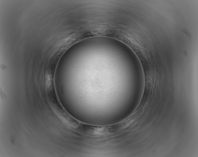 X0000090920130200708061551