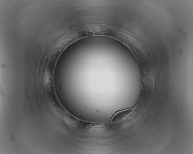 X0000090920132200708061551