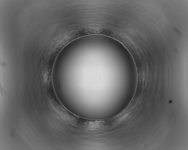 X0000090920134200708061551