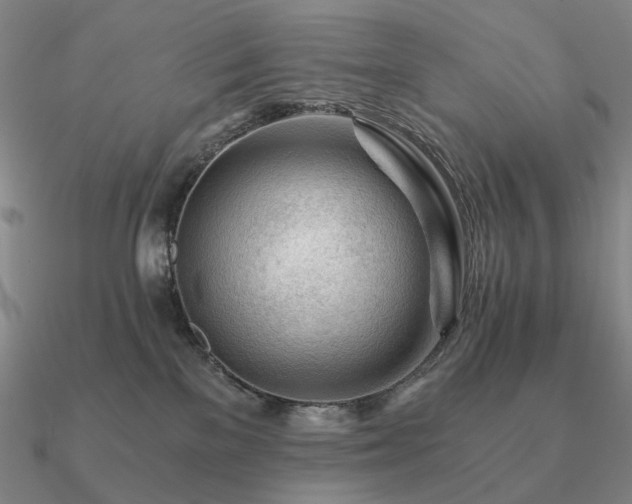 X0000090920137200708061551