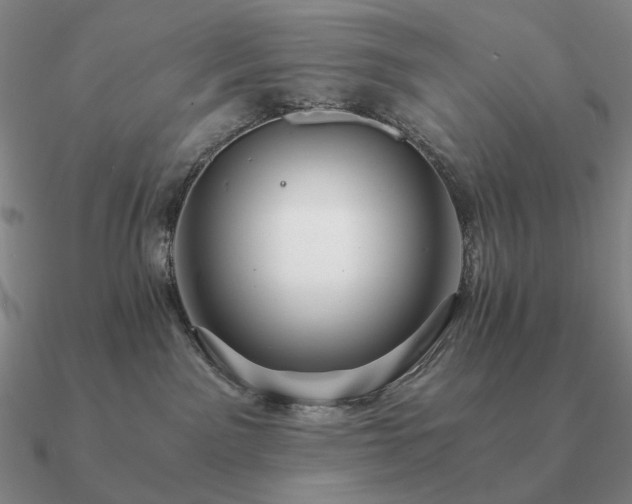 X0000090920141200708061551