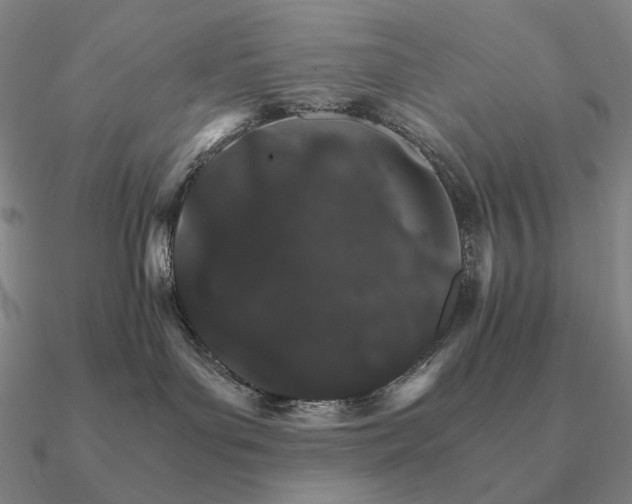 X0000090920143200708061551