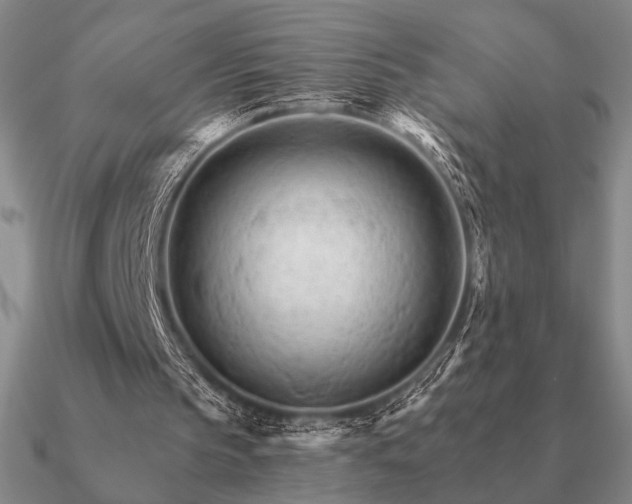 X0000090920145200708061550