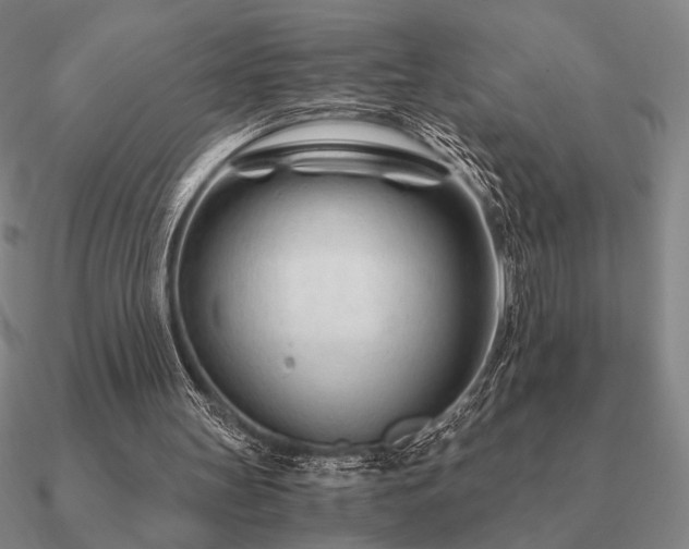 X0000090920147200708061550