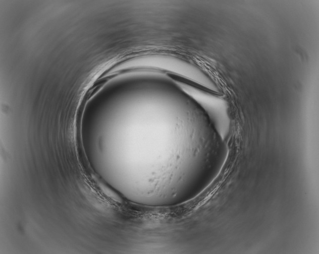 X0000090920148200708061550