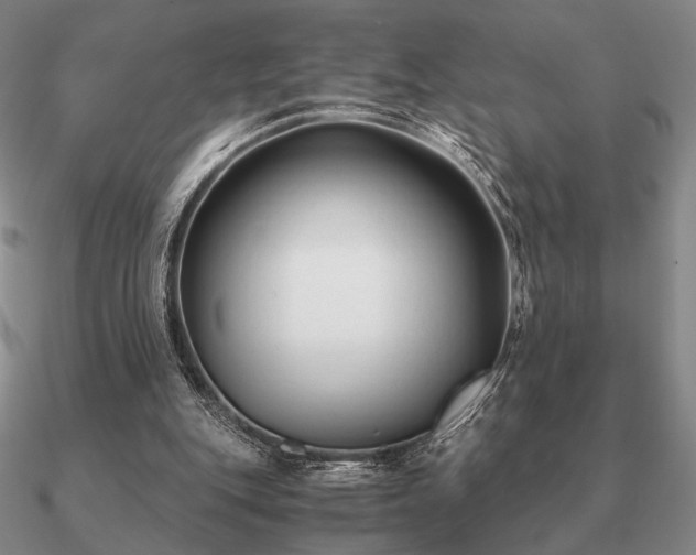 X0000090920151200708061550