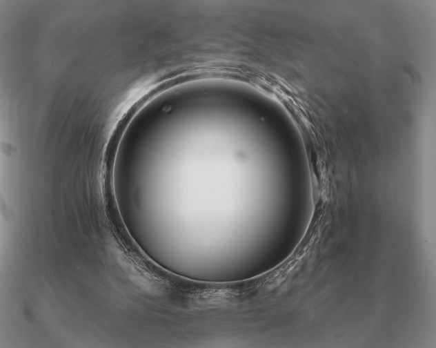 X0000090920152200708061550