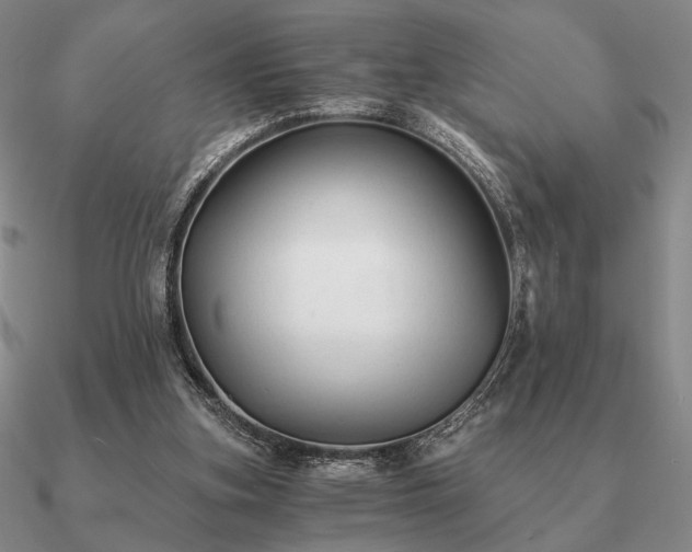 X0000090920155200708061550