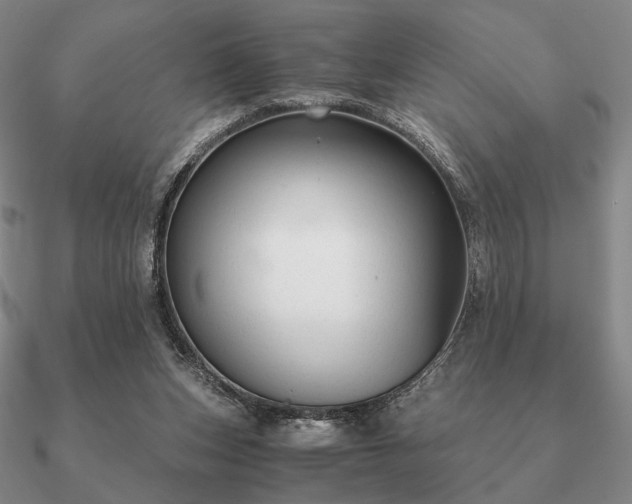 X0000090920159200708061550