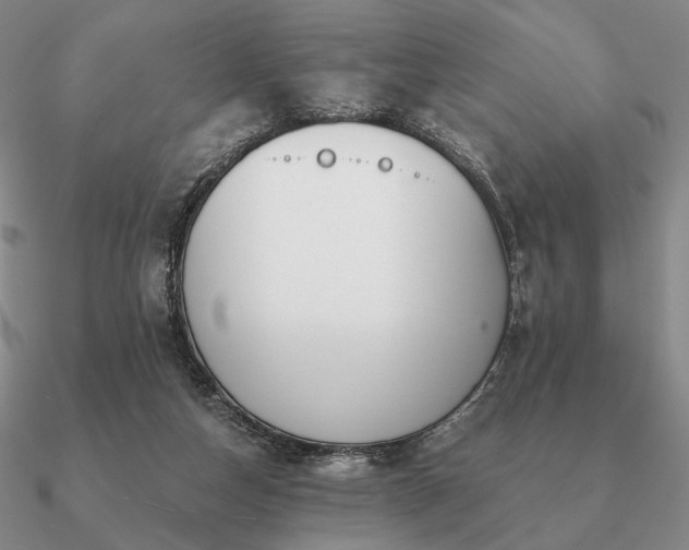 X0000090920162200708061550