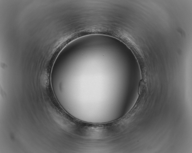 X0000090920164200708061550