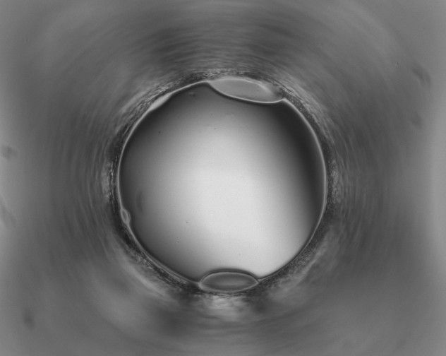 X0000090920165200708061550