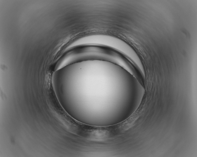 X0000090920168200708061550