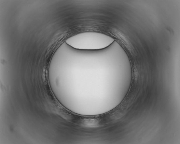 X0000090920169200708061550