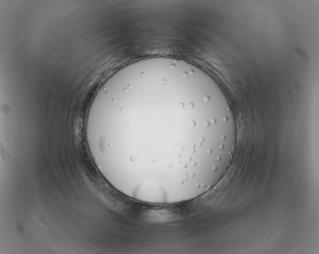 X0000090920171200708061550