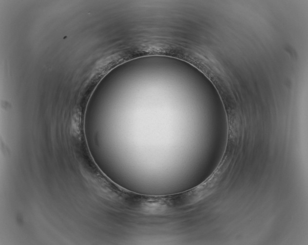 X0000090920175200708061550