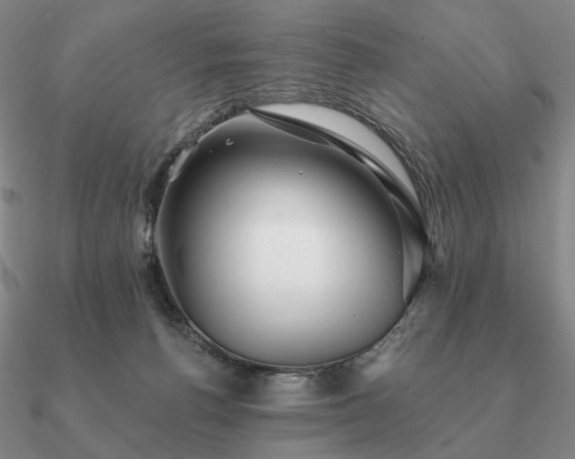 X0000090920176200708061550