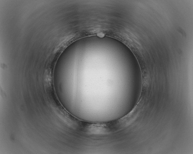 X0000090920179200708061550