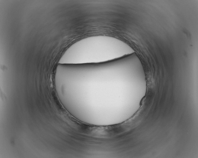 X0000090920182200708061550