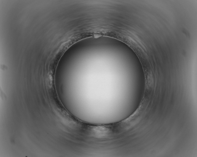 X0000090920183200708061550