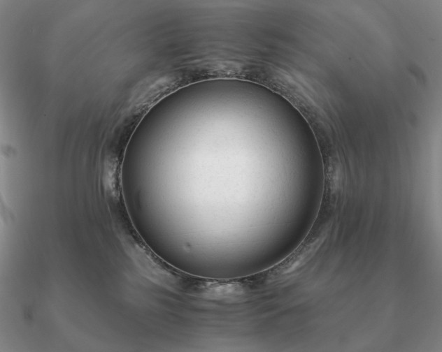 X0000090920185200708061550