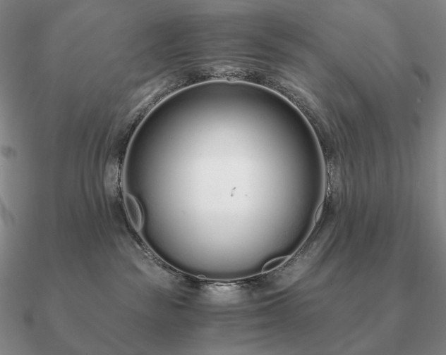 X0000090920189200708061550