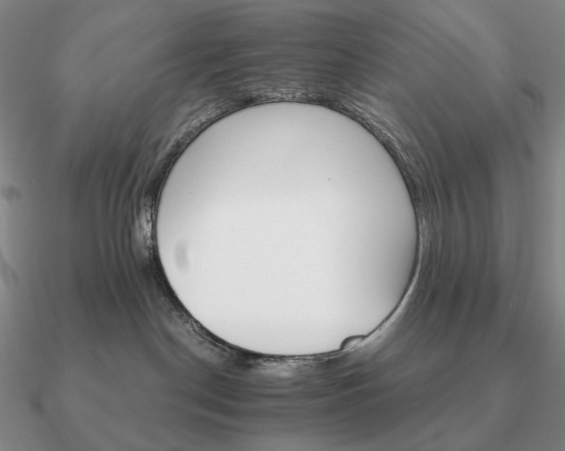 X0000090920190200708061550