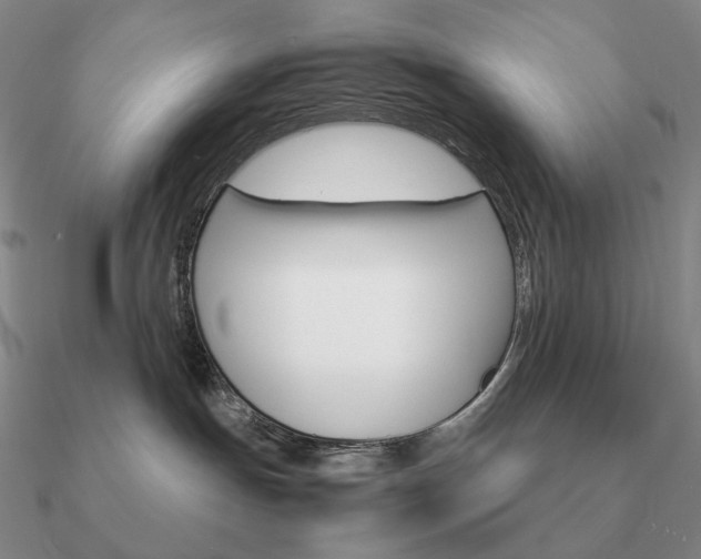 X0000090920191200708061551