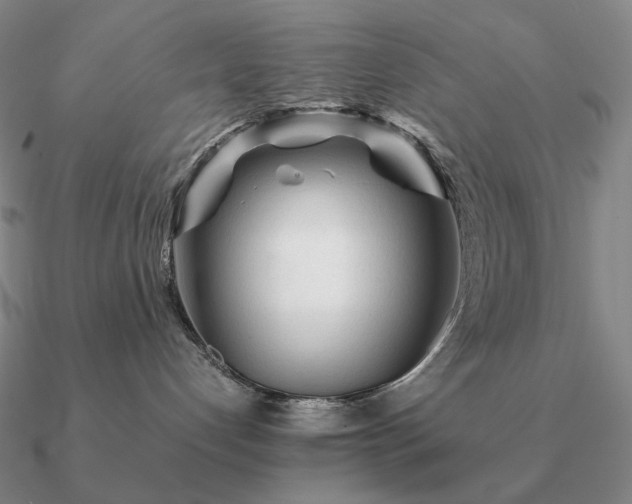 X0000090920192200708061551